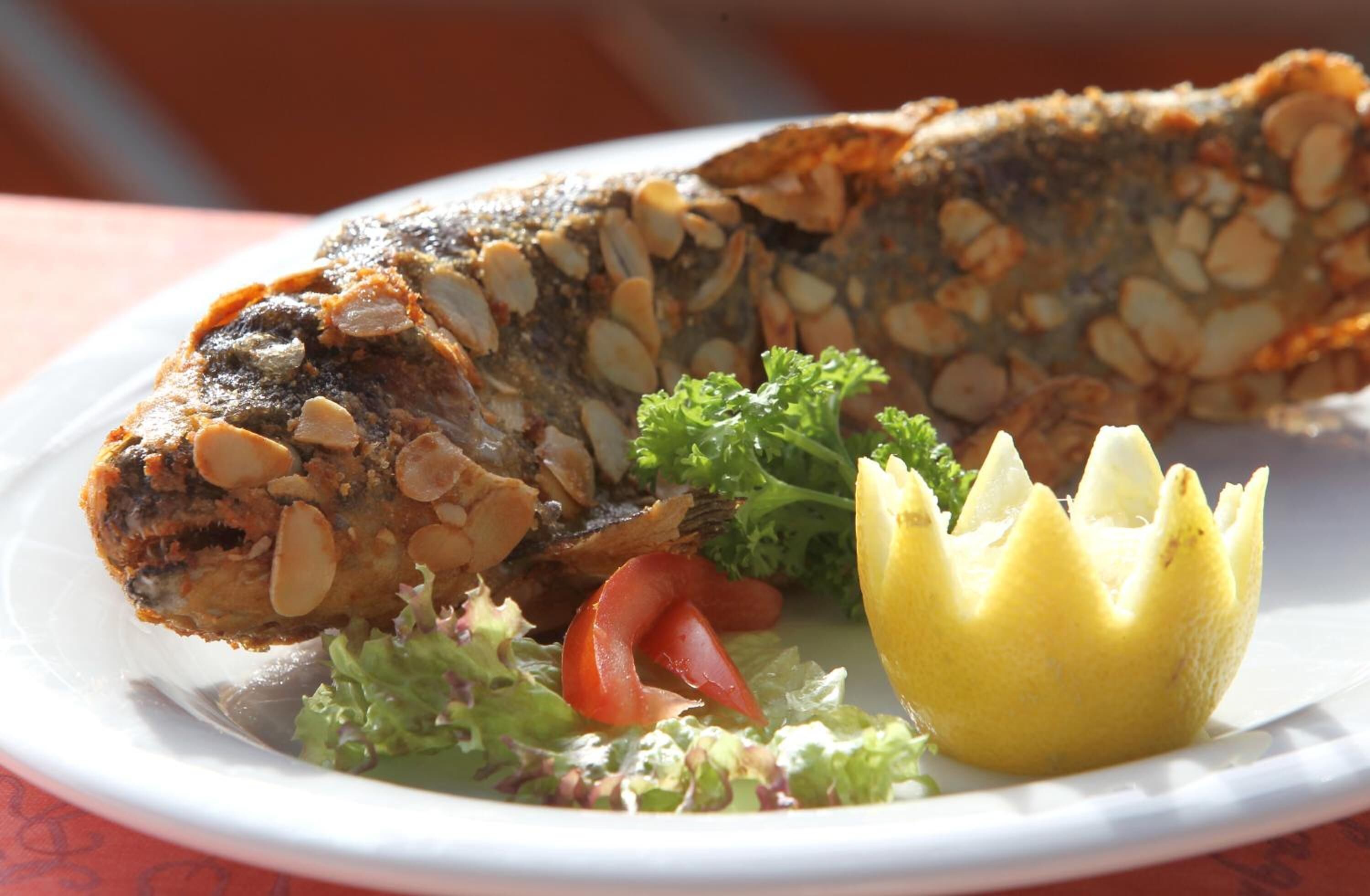 breakfast, lunch, dinner served; german cuisine, garden views