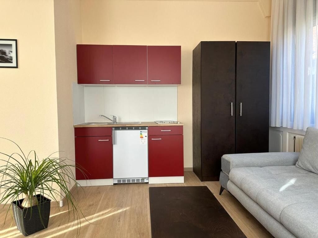 A compact living space with a kitchenette, a sofa, and a dark wardrobe.