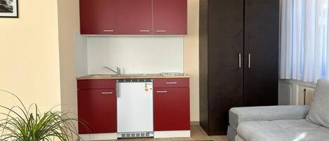A compact living space with a kitchenette, a sofa, and a dark wardrobe.