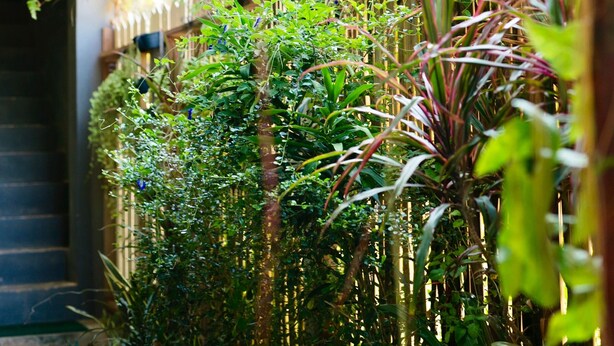 A lush garden with dense foliage and a wooden fence. - Lom La Lanta Hotel (Ko Lanta)