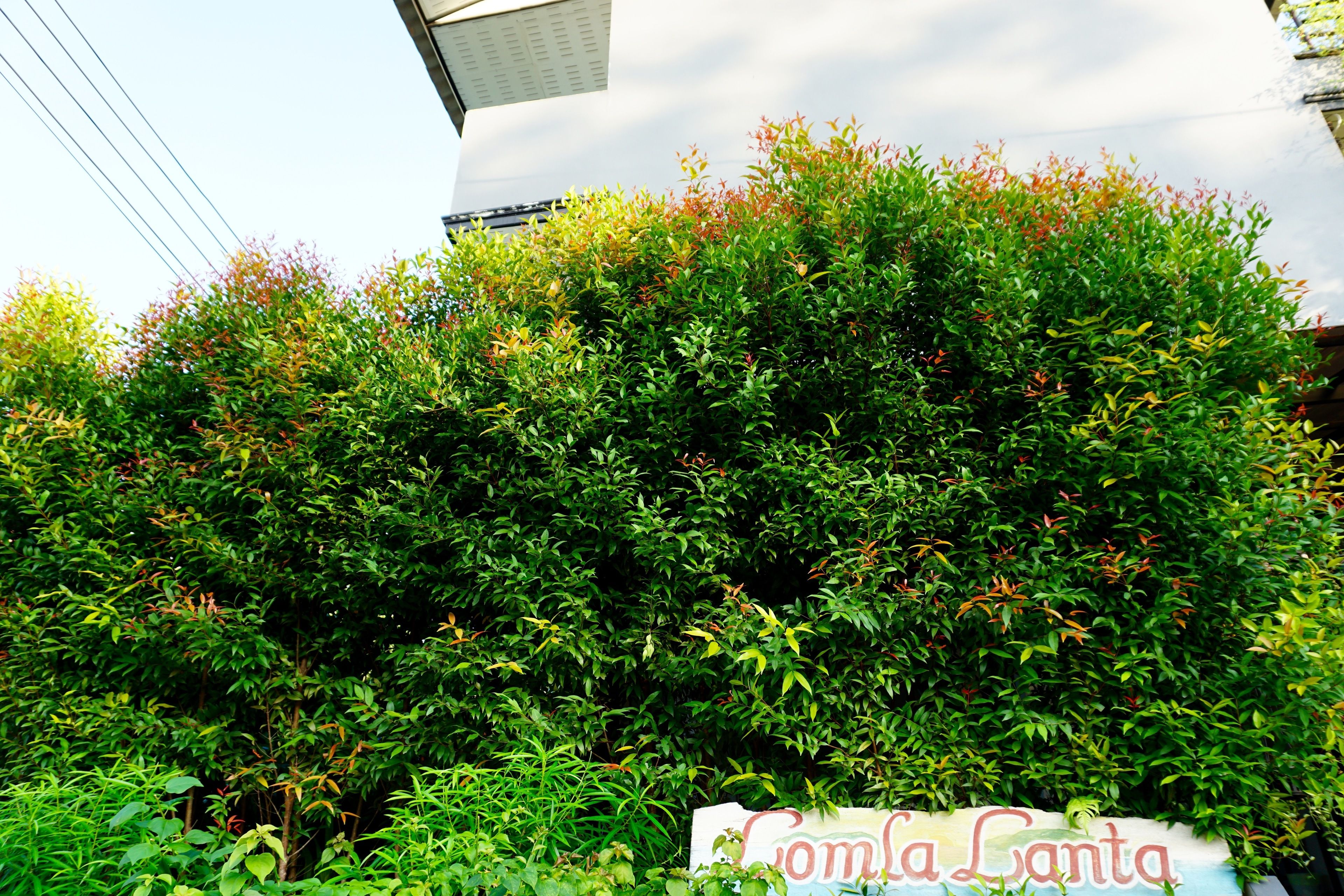 Photo - Lom La Lanta