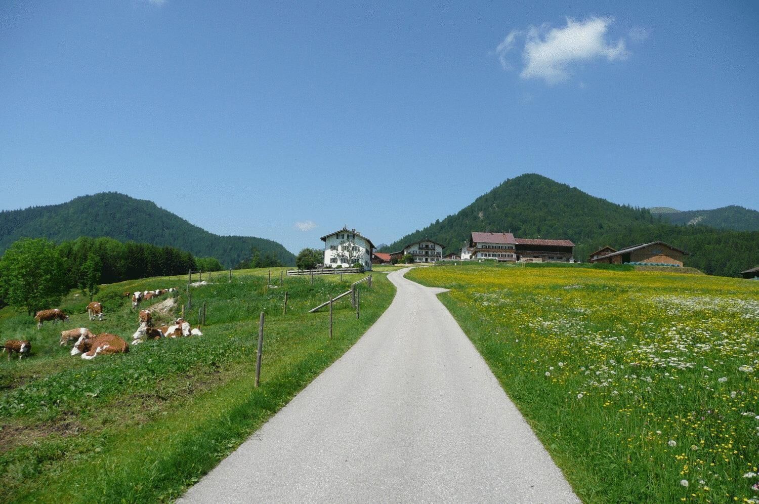 Un camino rural que lleva a un conjunto de casas tradicionales rodeadas de campos verdes y montañas.