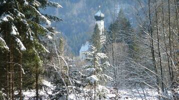 A snow-covered forest with a prominent tower structure in the background.