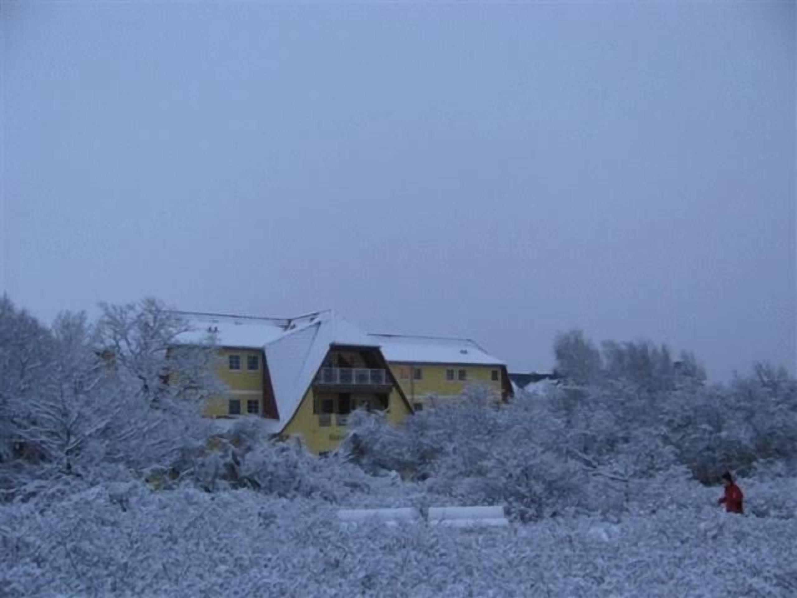 Una casa rodeada de árboles cubiertos de nieve.