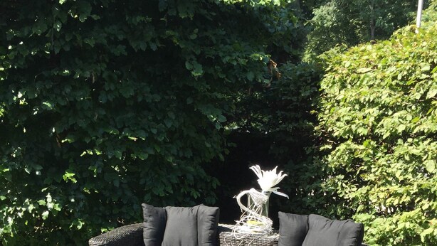 A wicker outdoor seating area with cushions and a table, surrounded by greenery. - Elisabetha (Hannover)
