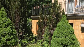 A hotel with a balcony, surrounded by dense greenery and trees. - Elisabetha (Hannover)
