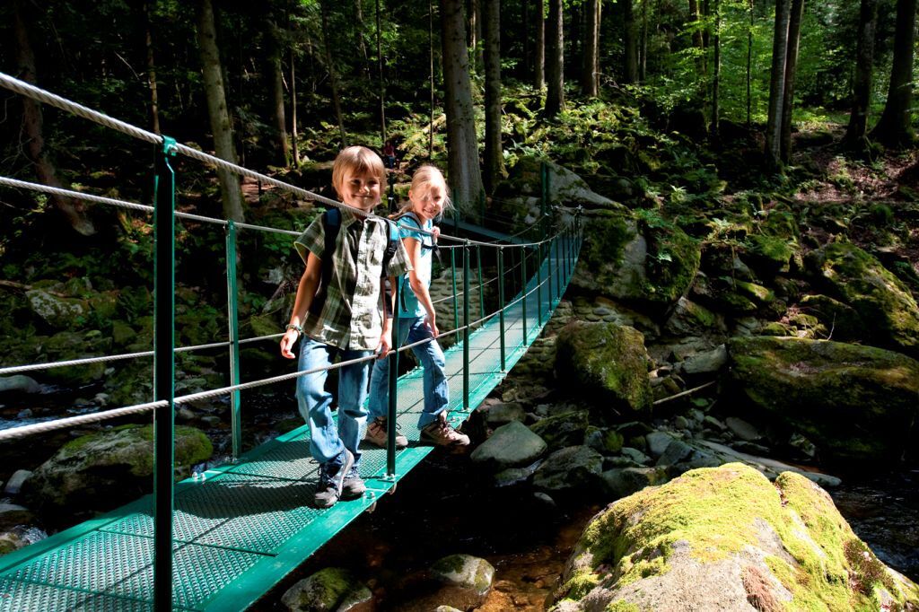 A suspension bridge in a forested area with a rocky stream below.