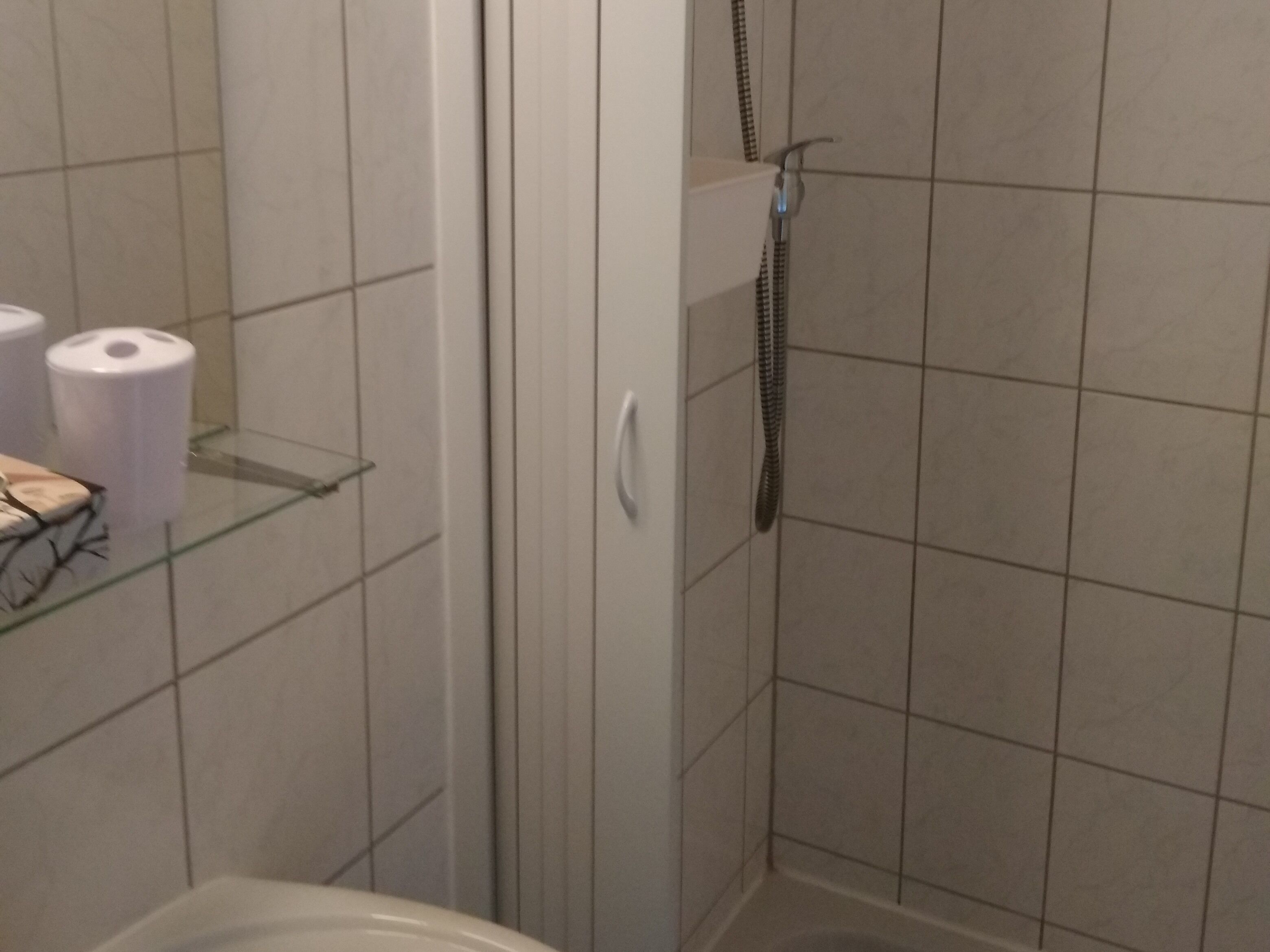 A bathroom with a shower, toilet, and a shelf with toiletries.