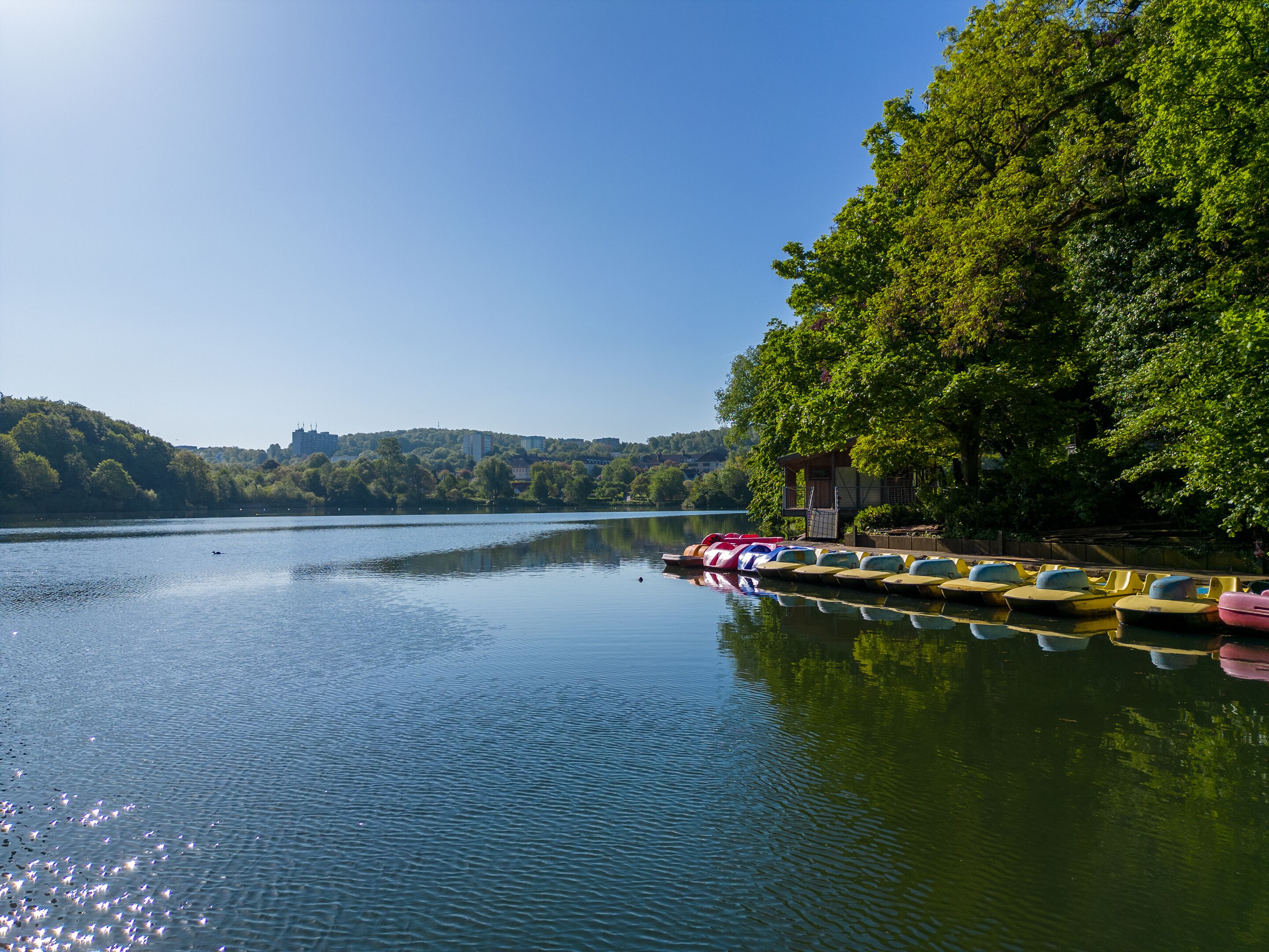 Un lago tranquilo con una fila de botes amarillos amarrados a la derecha, rodeado de exuberantes árboles verdes y un cielo azul despejado.
