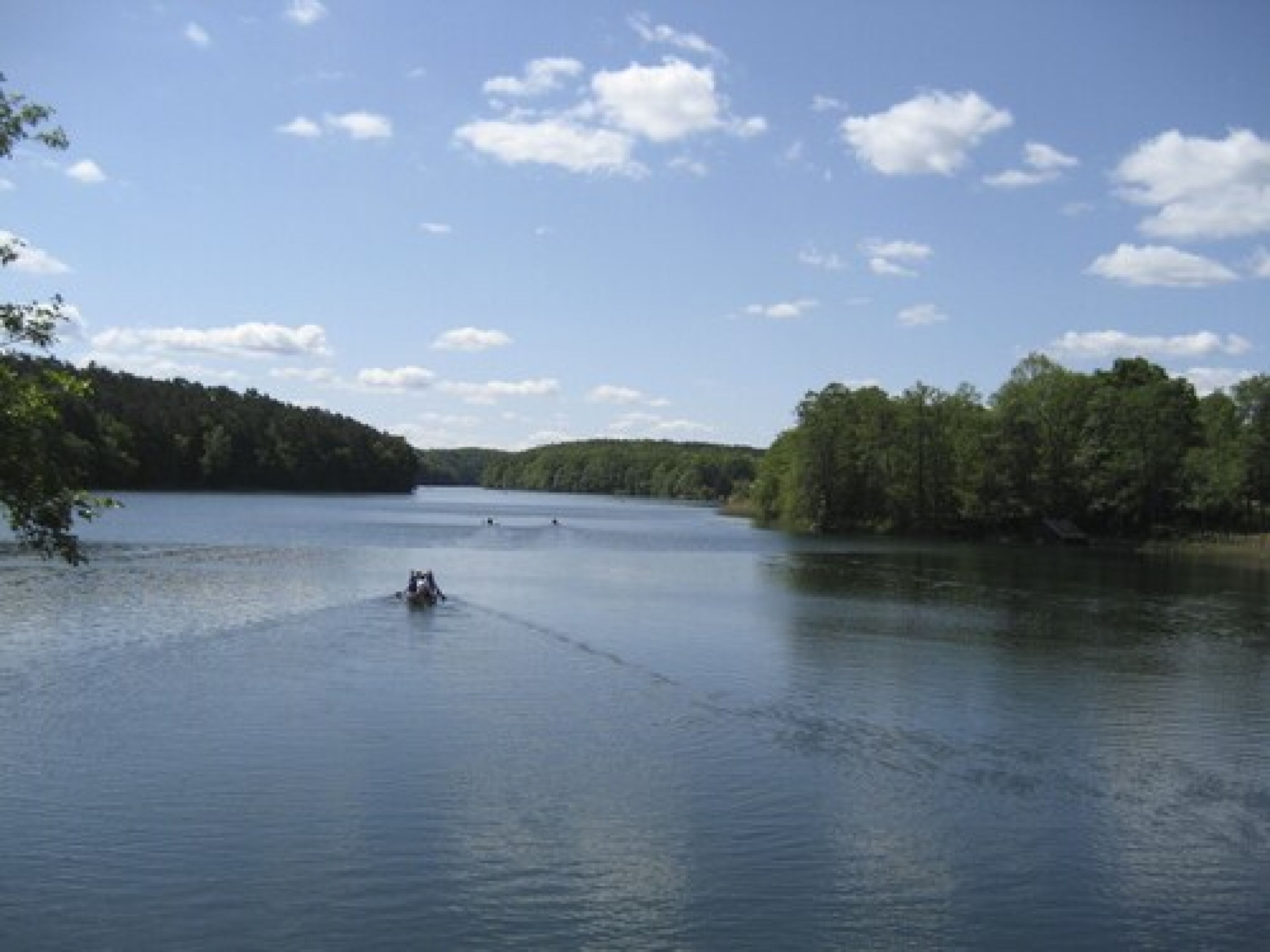 Ein ruhiger See mit einem Boot in der Mitte, umgeben von dichtem Wald und blauem Himmel.