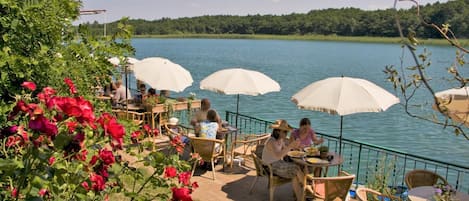 Lunch and dinner served, Regional cuisine