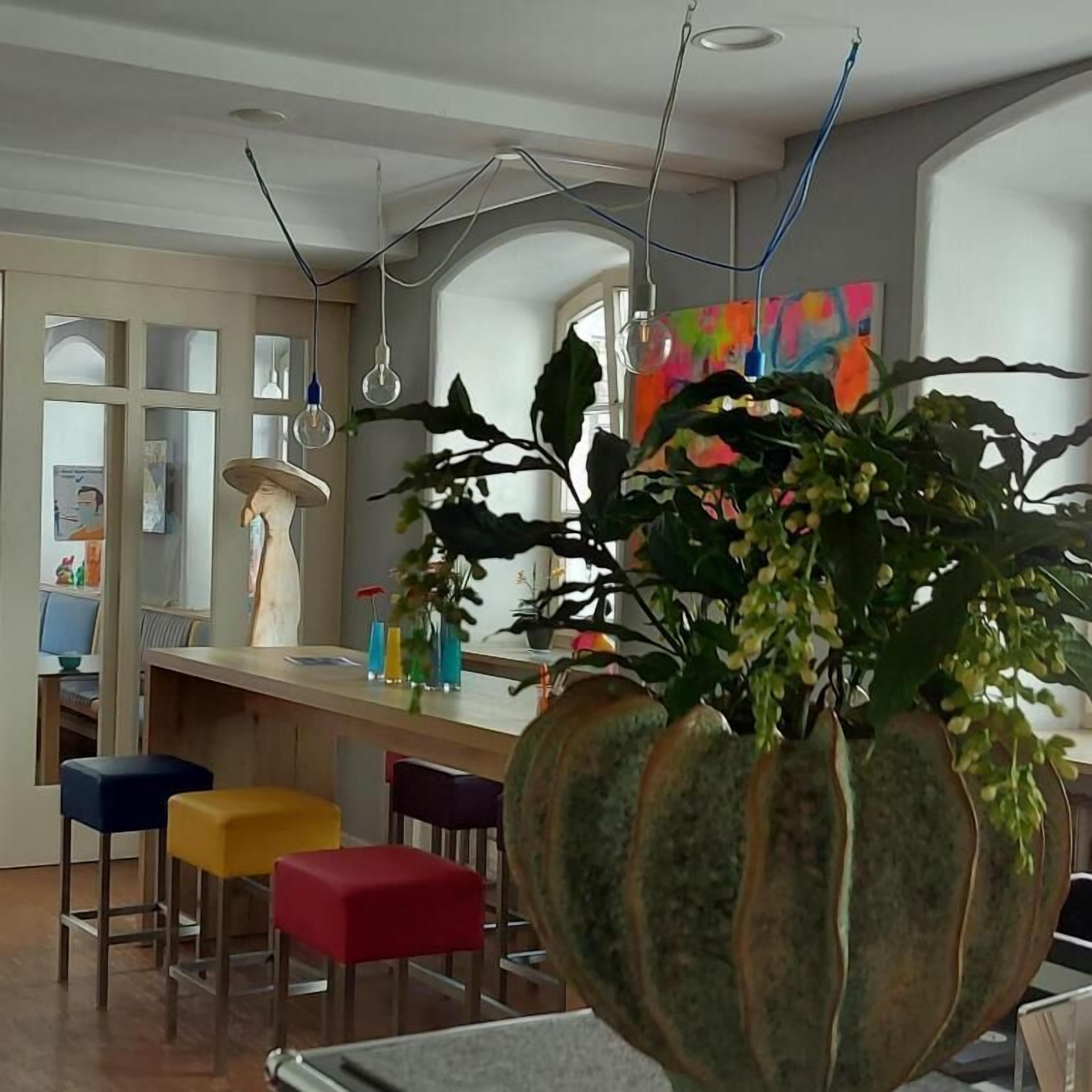 Una cocina moderna con una isla central, taburetes de bar y una planta grande en maceta.