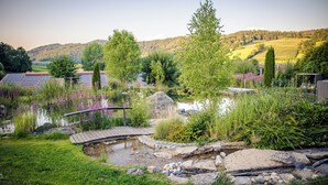 A garden with a pond, a wooden bridge, and solar panels in the background.
