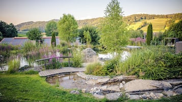 Lake view