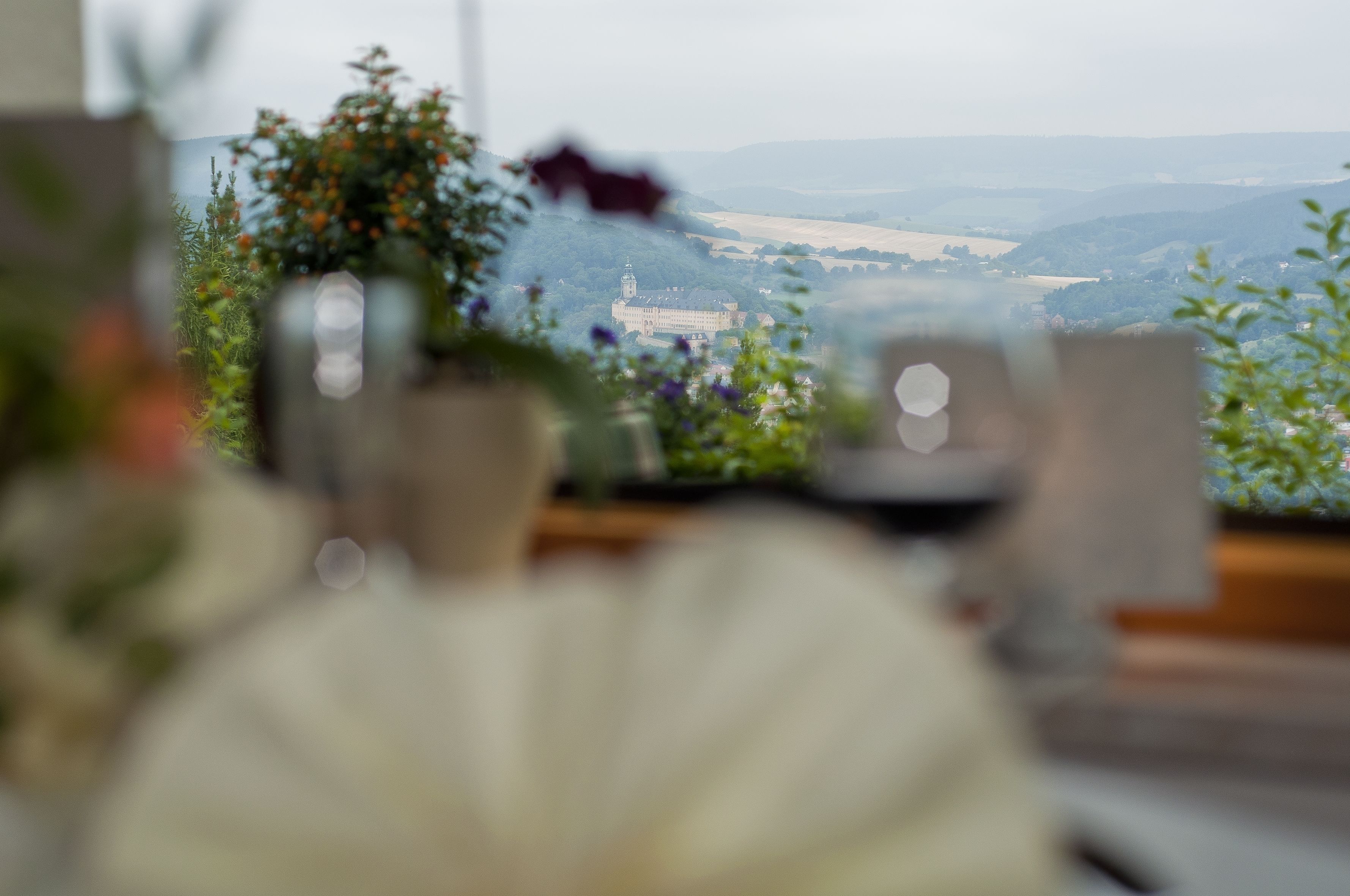Blick aus einem Fenster auf ein Schloss, im Vordergrund unscharfe Zimmerpflanzen.