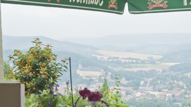 A table set with a wine glass, a folded napkin, and a vase with flowers. - Panoramahotel Am Marienturm (Rudolstadt)