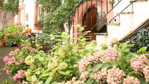 A building with a staircase, ivy-covered walls, and a garden with hydrangeas.