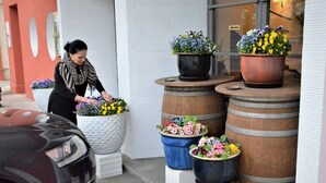 En kvinna som arrangerar blommor i en stor vit kruka som står på en vit piedestal utanför en byggnad med en röd vägg och ett fönster med utsikt över gatan.