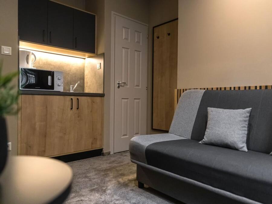 Un espacio habitable compacto con kitchenette, un sofá gris con cojines y un armario de madera.