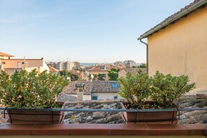 A balcony with potted plants, overlooking a residential area with terracotta roofs and a clear sky.