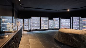 Explore a collection of historical artifacts in a serene, intimate setting.