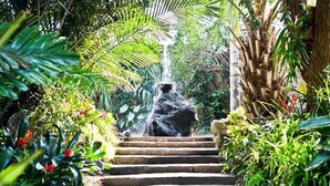 A stone staircase leading to a waterfall in a lush garden. - Panoramahotel by Imperamare (Forio)