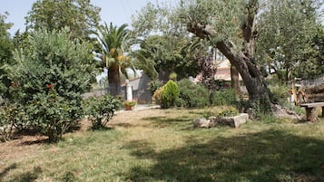 Vườn