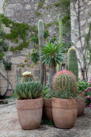 Garden - Tenuta Cammarana (Ragusa)