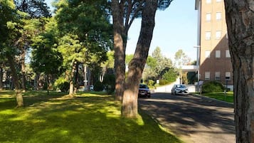 Jardín