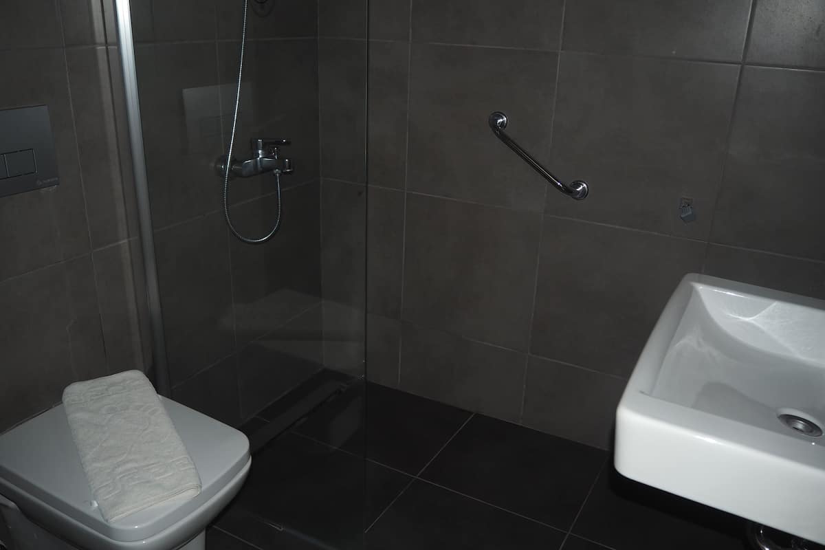 Duş, ücretsiz banyo/kozmetik ürünleri, saç kurutma makinesi, terlik