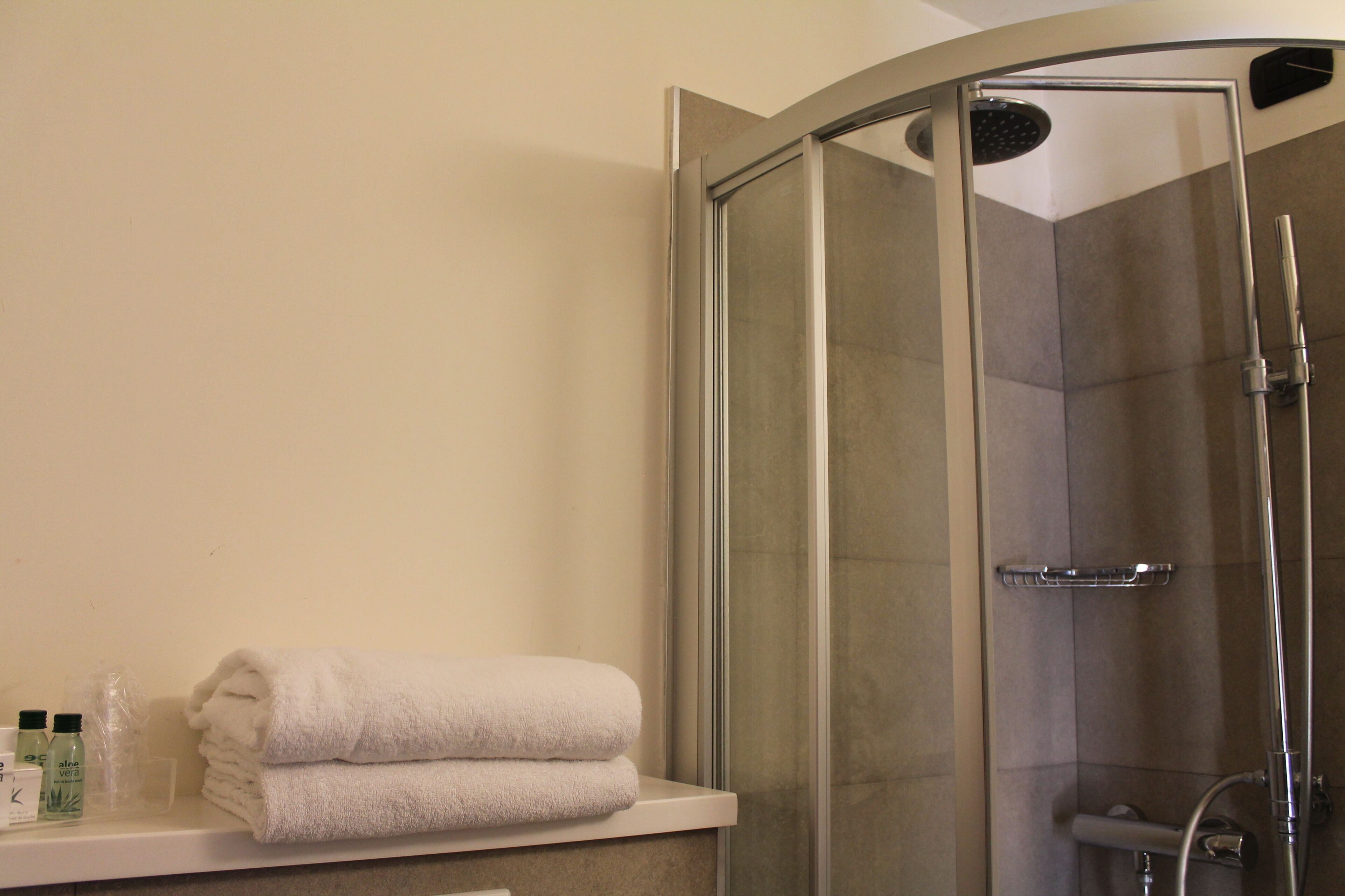 A bathroom with a glass-enclosed shower, a white towel on a shelf, and toiletries on the counter.