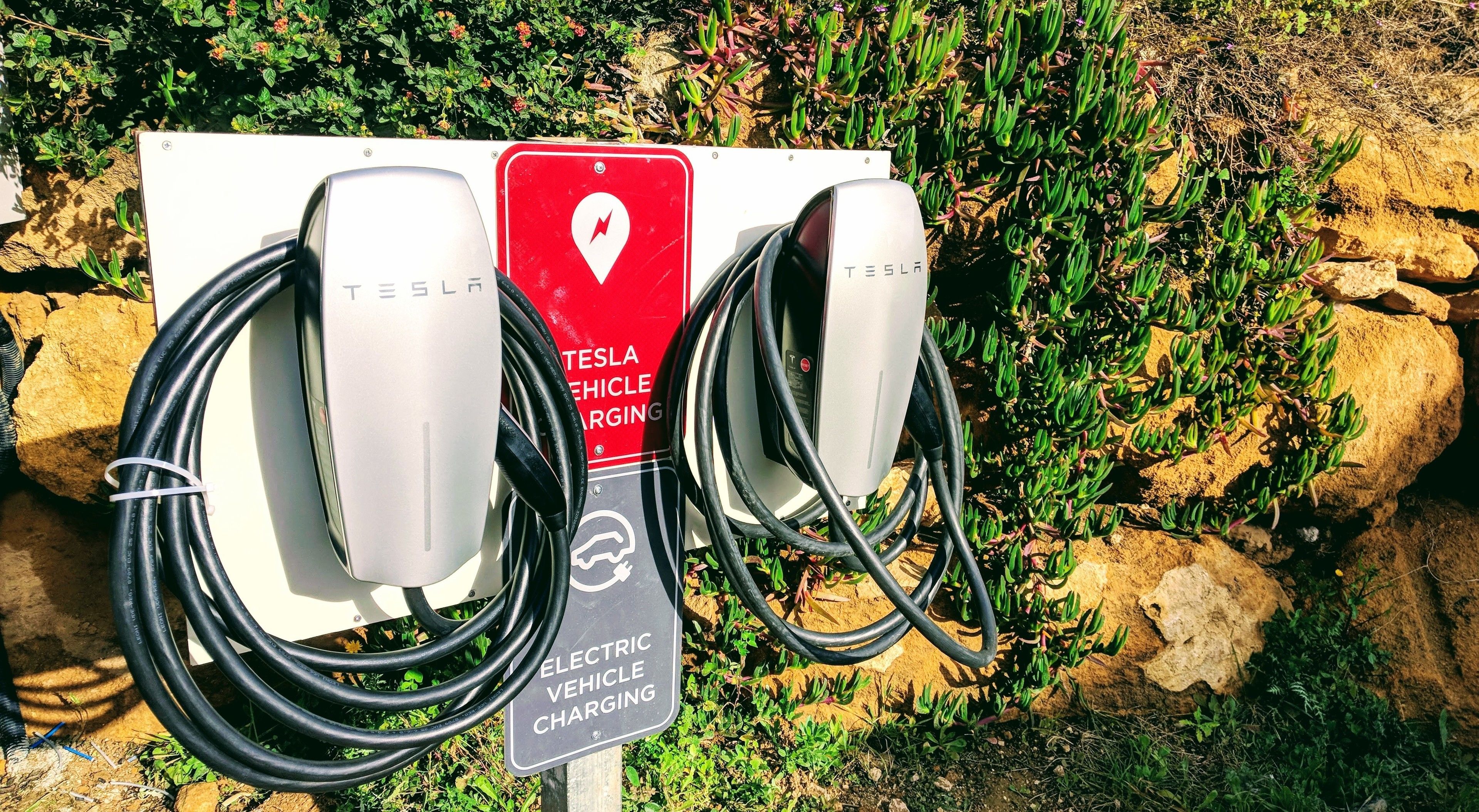 Uma estação de carregamento Tesla com dois pontos de carregamento, rodeada por vegetação.