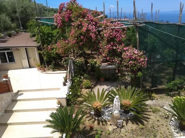 Habitació familiar, vistes al pati | Vista des de l'habitació