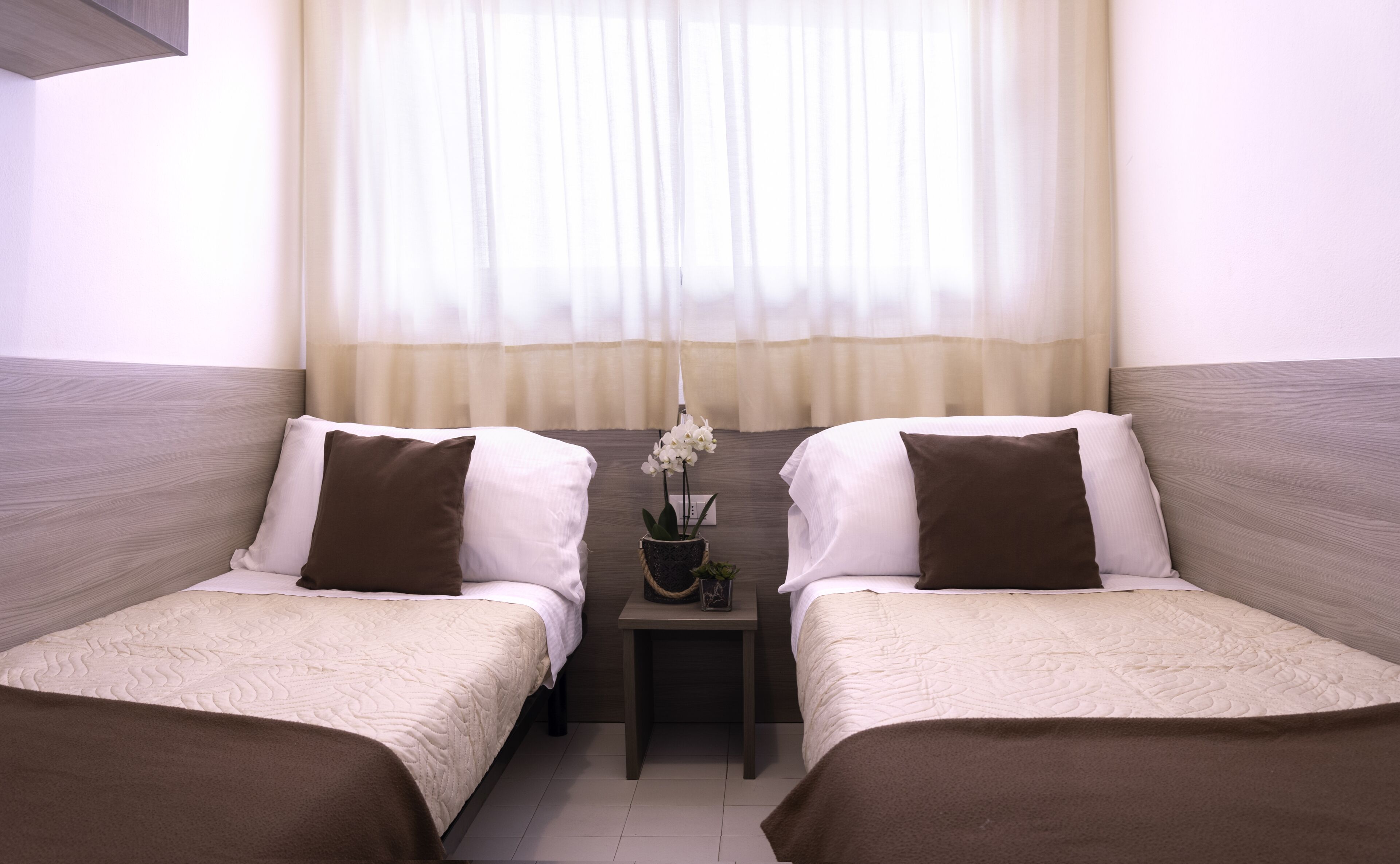 Une chambre d’hôtel avec deux lits simples, une petite table sur laquelle est posée une plante en pot, et une fenêtre avec des rideaux légers.