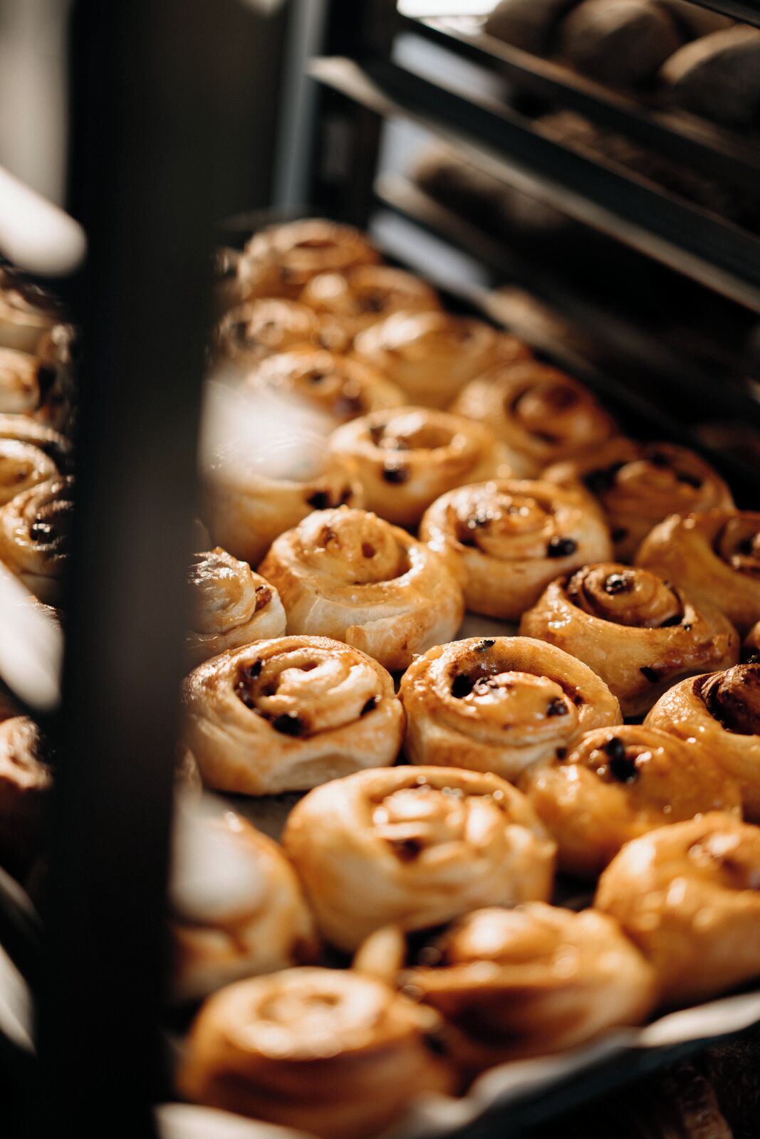 Een schaal versgebakken gebak, waarschijnlijk kaneelbroodjes, op een bakplaat.