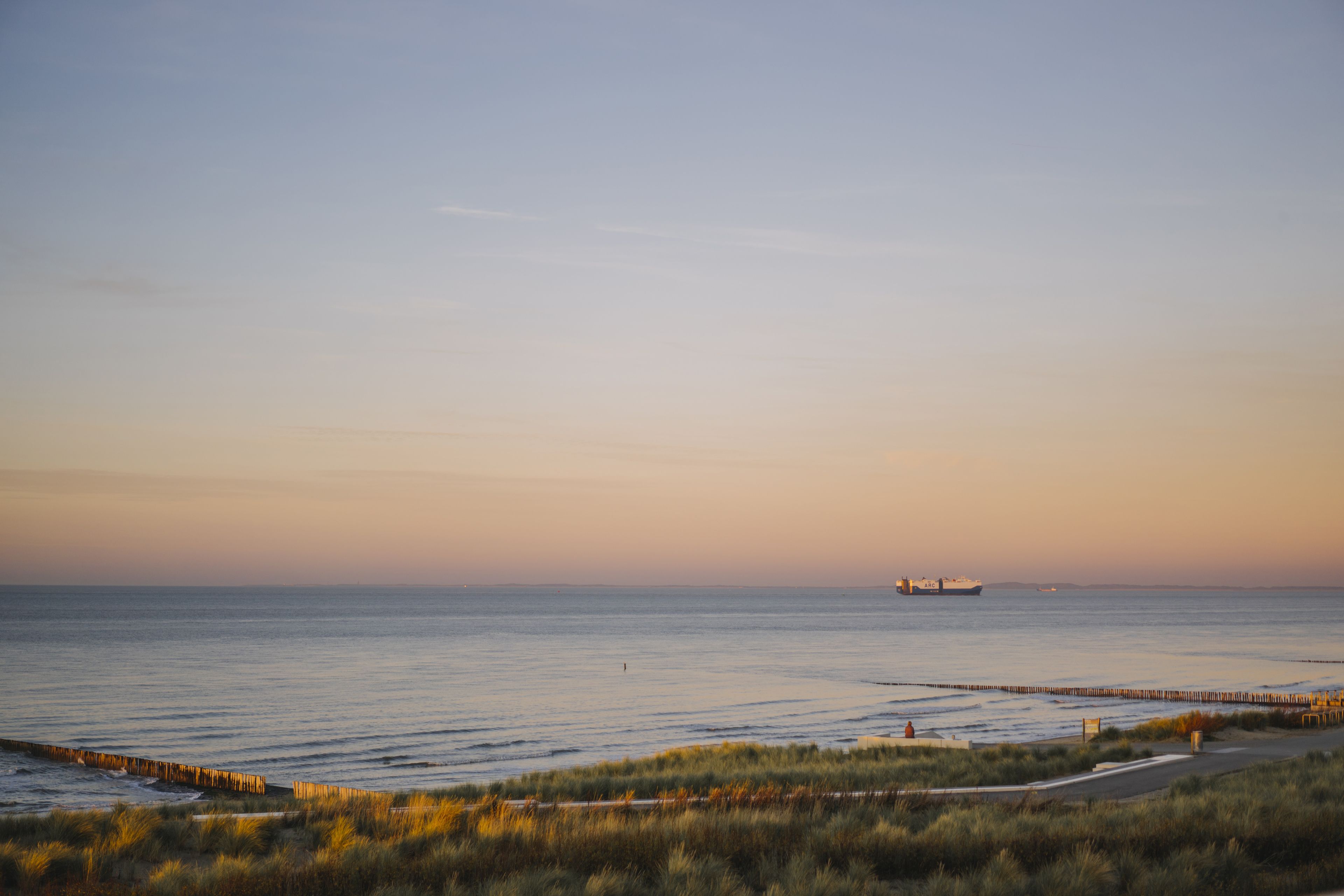 A coastal landscape with a calm sea, a pier, and a ship in the distance.