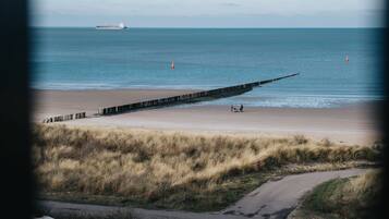 A coastal scene with a sandy beach, a wooden jetty extending into the water, and a ship in the distance.