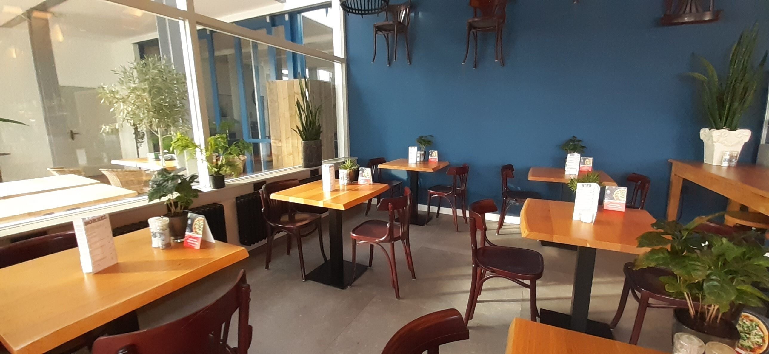 Een restaurantinterieur met houten tafels en stoelen, potplanten en een blauwe wand.