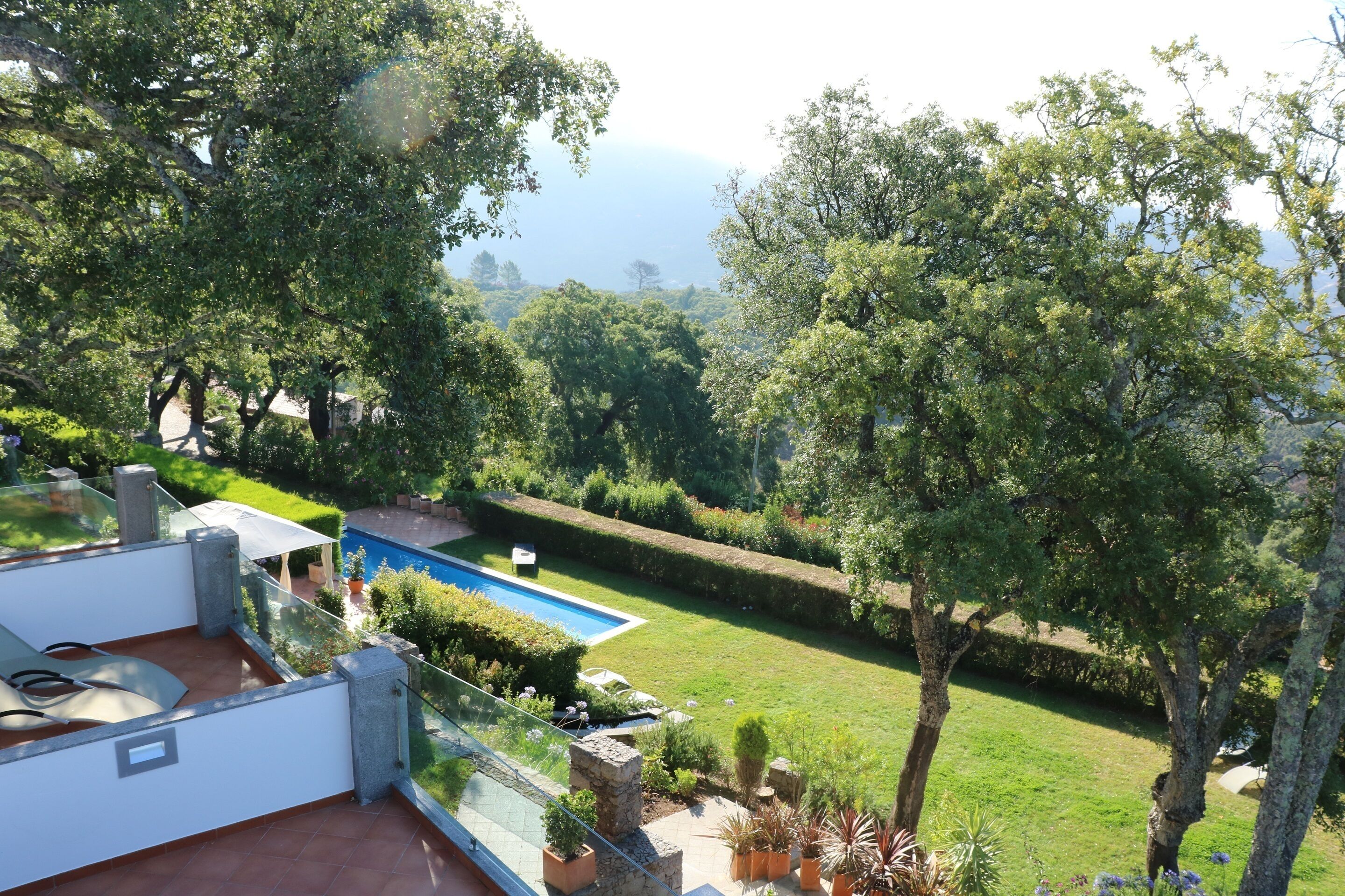 A rooftop terrace with a pool, surrounded by lush greenery and trees.