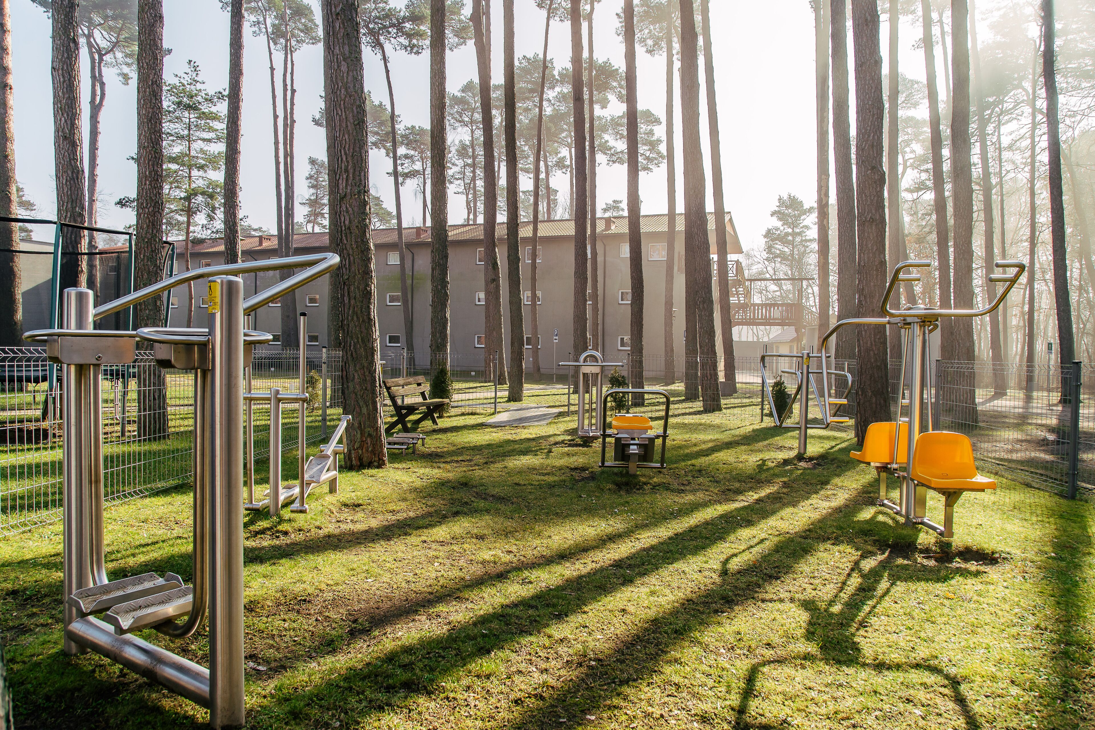 Um parque com equipamentos de ginástica, bancos e árvores altas.