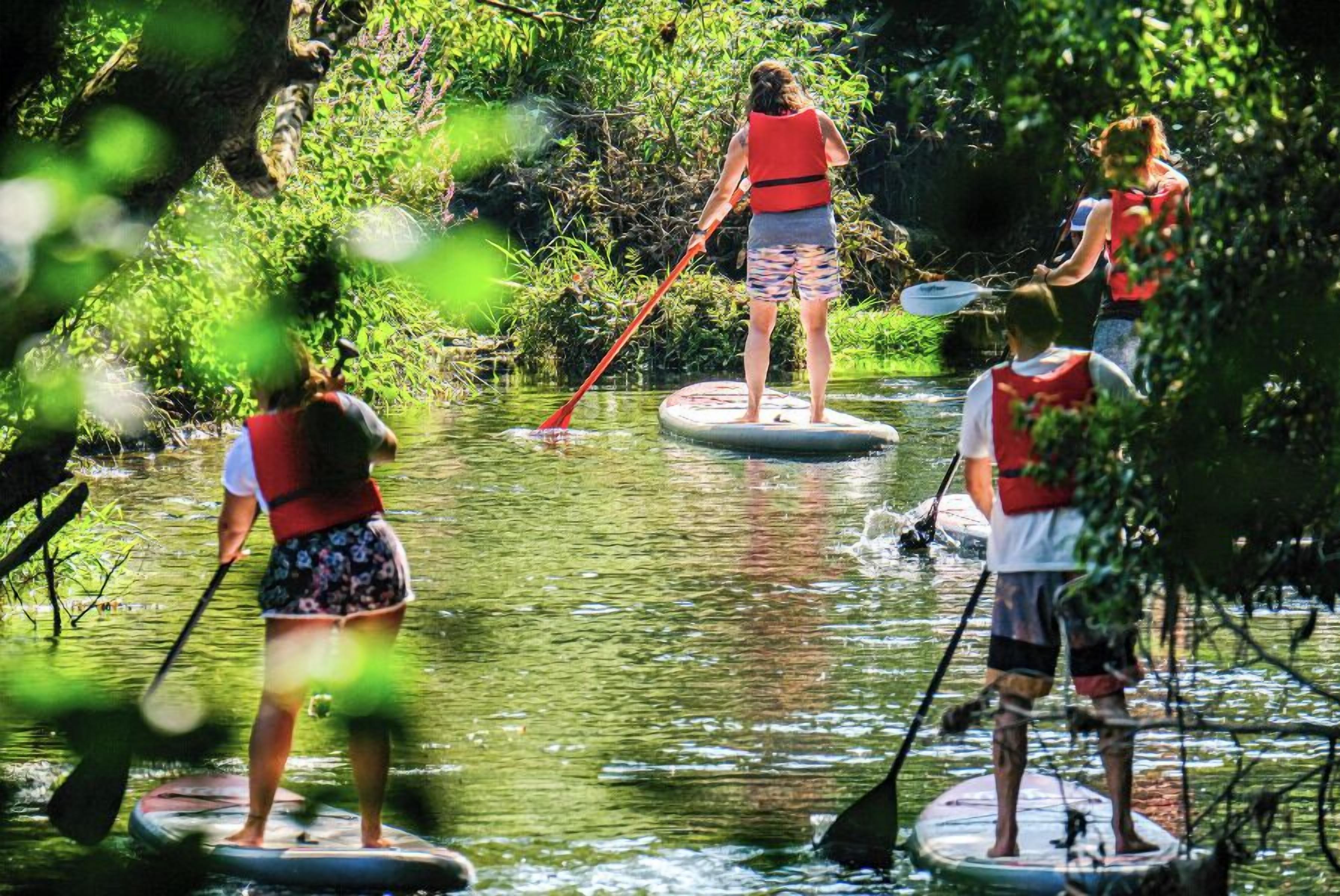 People paddleboarding on a calm river surrounded by lush greenery.