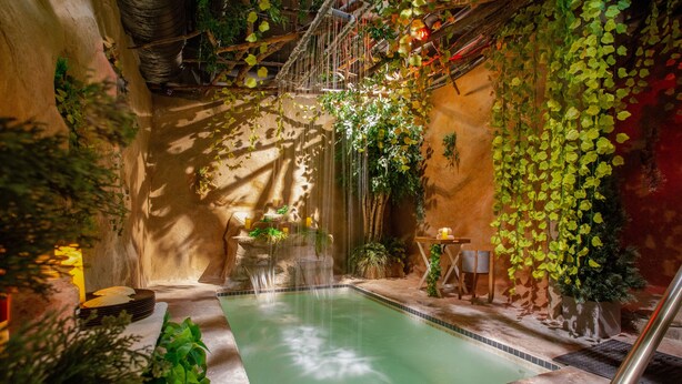 Uma área de piscina com cascata, cercada por vegetação e paredes de pedra.