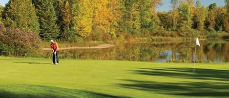 A golf course with a pond, trees, and a golfer.