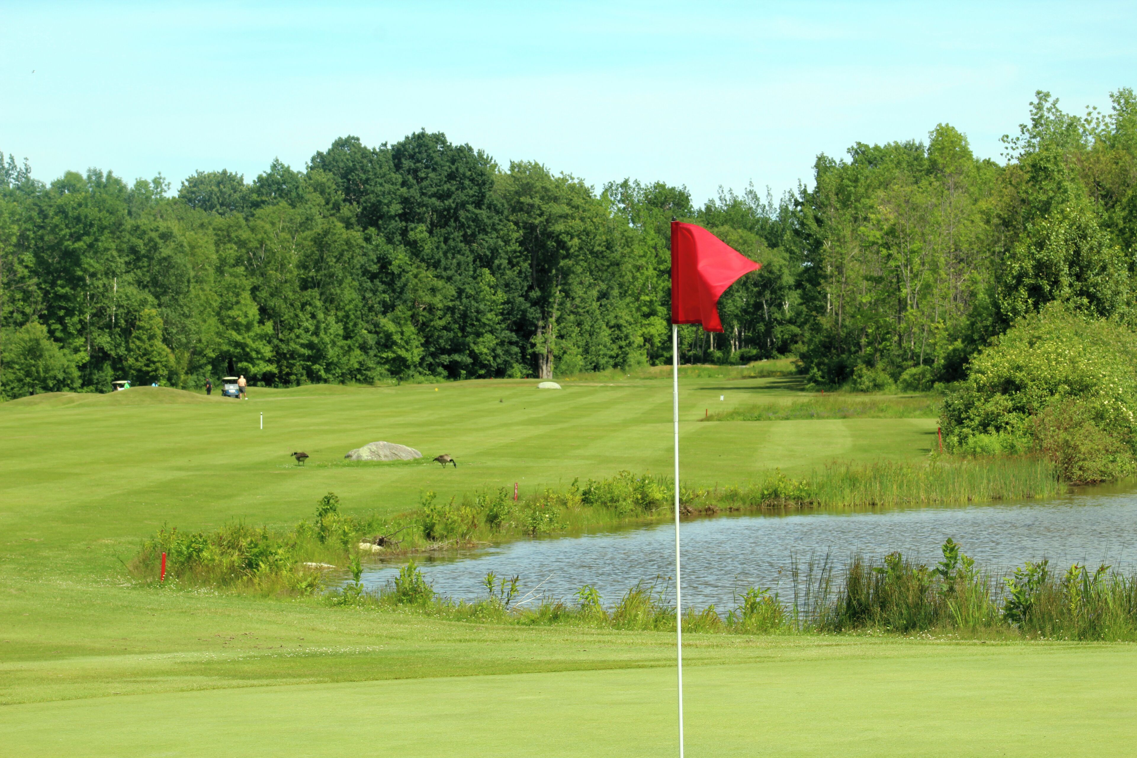 A golf course with a red flag, a pond, and dense trees in the background.