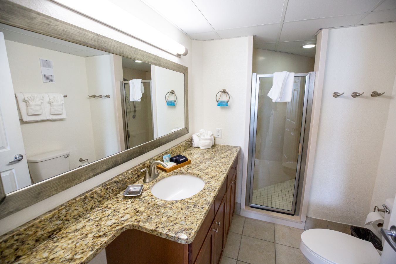 A bathroom with a granite countertop, a sink, a mirror, a shower, and a toilet.
