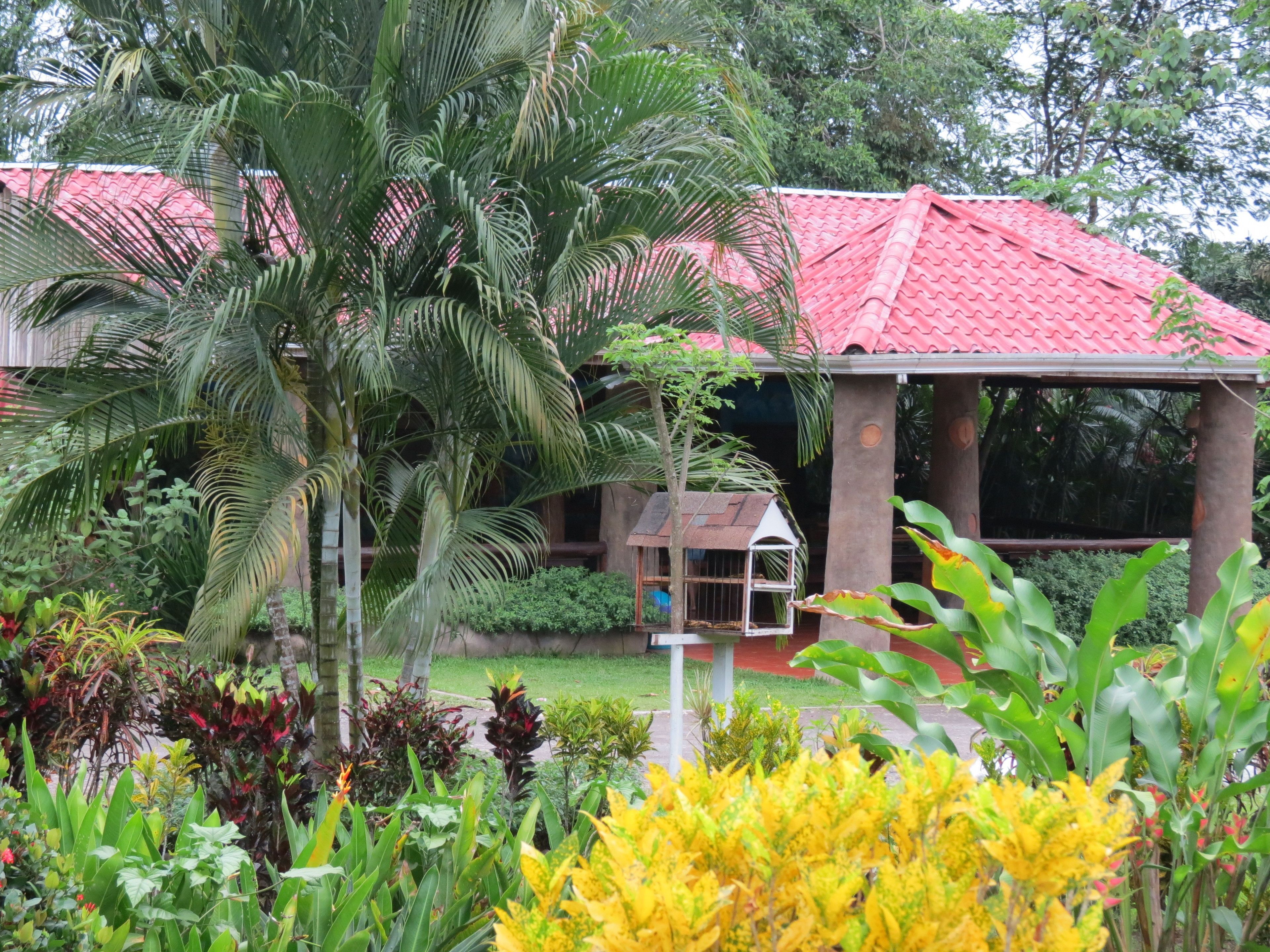 Free daily full breakfast