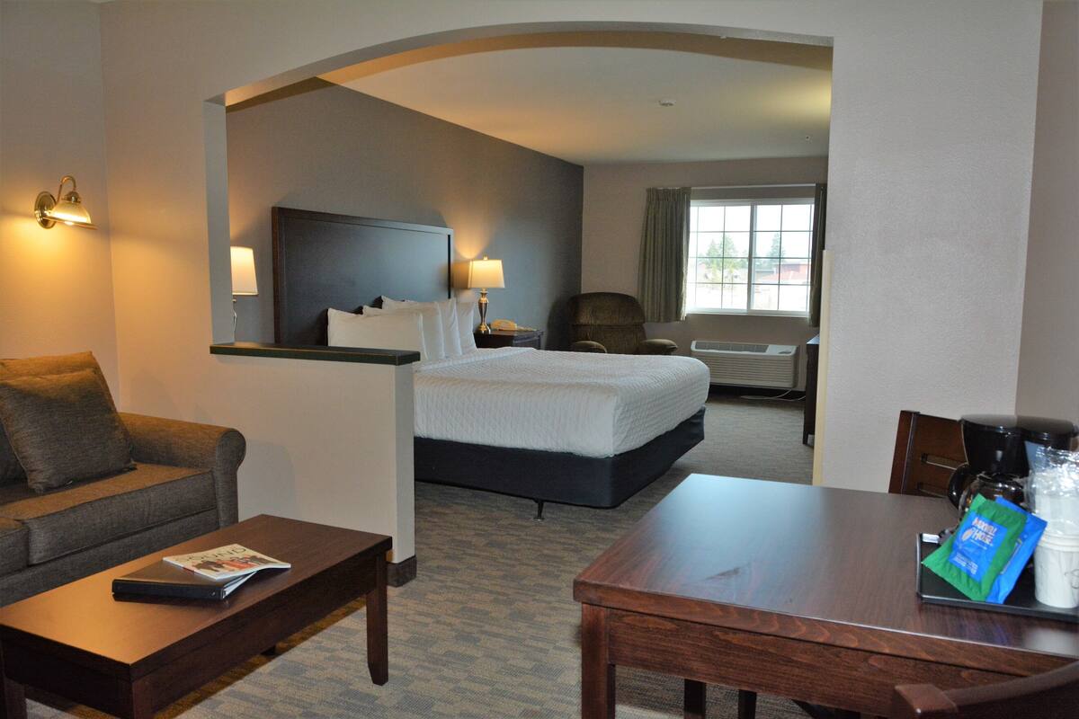 A hotel room with a bed, a sofa, a desk, and a chair.