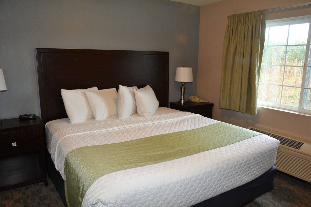 A neatly made bed with a headboard, a bedside lamp, and a window with curtains.