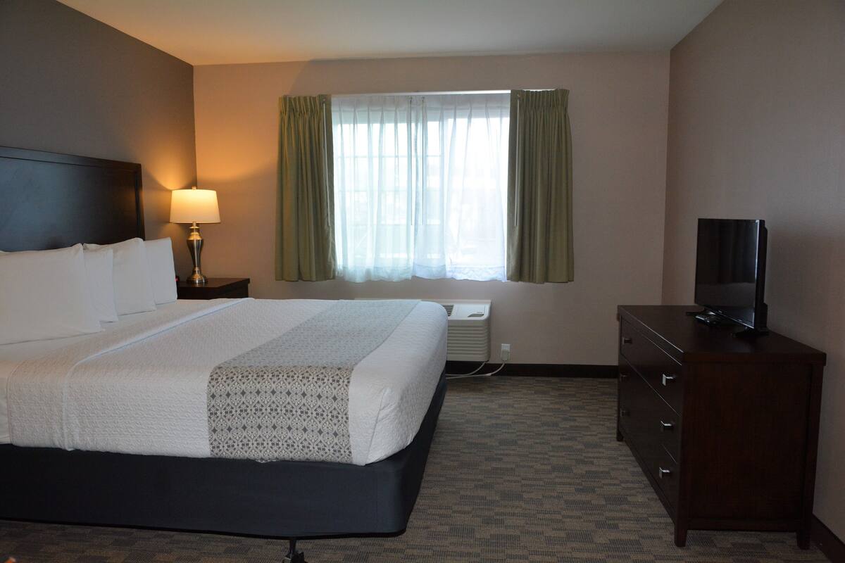 A hotel room with a bed, a TV, a dresser, a lamp, and a window with curtains.