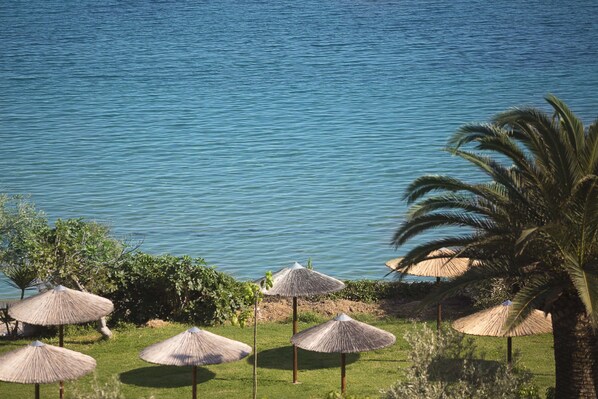 Vista desde la propiedad